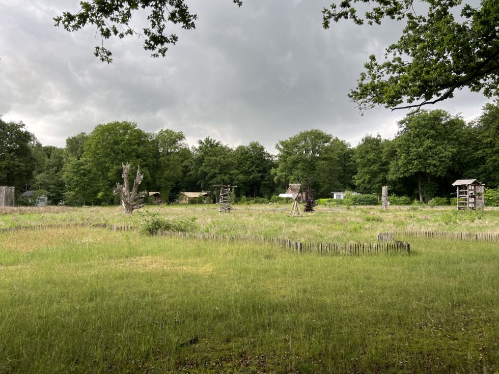 Op vakantie? Zo laat je je tuin stralen terwijl jij weg bent!